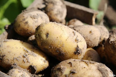 Ferme des Semences et des Poules, Ferme Bio à Saint-Sauveur