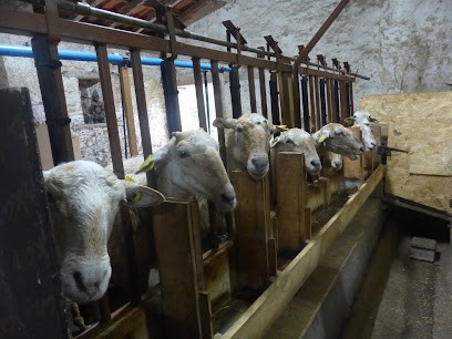 Ferme de la Chancelière, Ferme Bio au Girouard