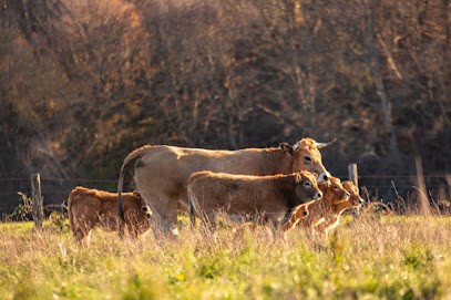 LA FERME DE PLANESTY, Ferme Bio à Castanet