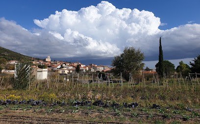 La ferme en pagaille, Ferme Bio à Trévillach