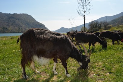 L'évadée belle, Ferme Bio à Condes