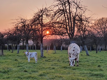 Ferme de la vallée au tanneur, Ferme Bio à Repentigny