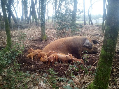 Ferme de Trévero, Ferme Bio à Sérent