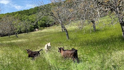 La Ferme des Bourbous, Ferme Bio à Gigors-et-Lozeron