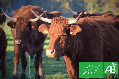 La Ferme de la Corbière, Ferme Bio à Orgères