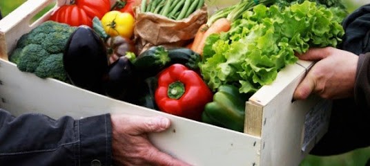 Le Jardin de Cocagne de la Haute Borne, Ferme Bio à Villeneuve-d'Ascq