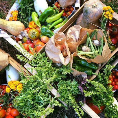 La Ferme aux Gus, Ferme Bio à Avignon