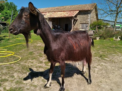 GAEC le Mel'Elie, Ferme Bio à Messé