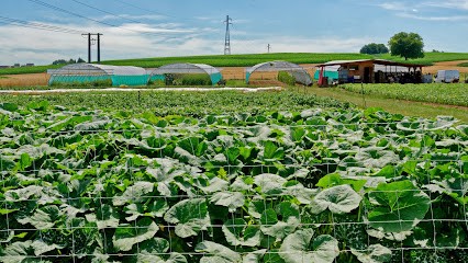La Ferme Rikedel, Ferme Bio à Wissembourg