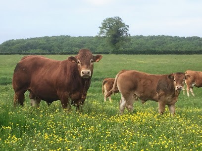 Ferme de Bonneau, Ferme Bio à Theneuille