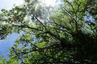 Les Jardins d'UZeste, Ferme Bio à Uzeste
