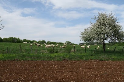 Gaec de conclois, Ferme Bio à Bure-les-Templiers