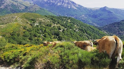 La Ferme De Castagnols, Ferme Bio à Vialas