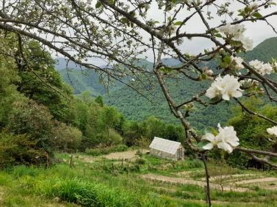 Micro ferme Végétale AlpyTerre, Ferme Bio à Balacet