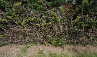 Earl Chausson, Ferme Bio à Nailloux