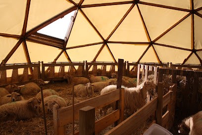 Ferme de la Pomponnette, Ferme Bio à Louignac