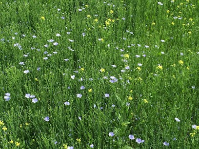 Les Jardins D'aestiv, Ferme Bio à Bâgé-Dommartin