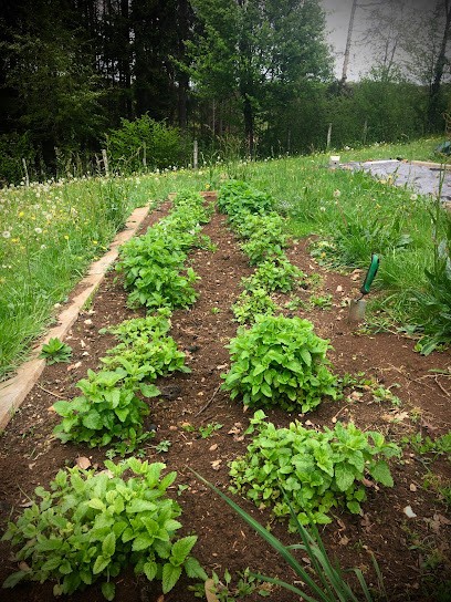 Ferme Les Plaines & La Coquelicotière, Ferme Bio à Sancey