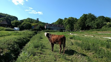 Ferme du Château à Villerville, Ferme Bio à Villerville