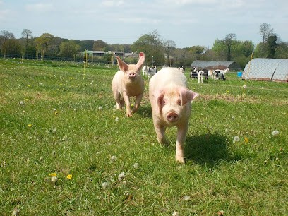 Ferme de la Hubaudière, Ferme Bio à Laignelet