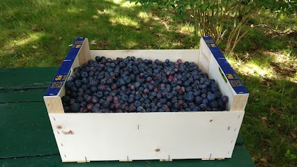Domaine Xixtaberri, Ferme Bio à Cambo-les-Bains