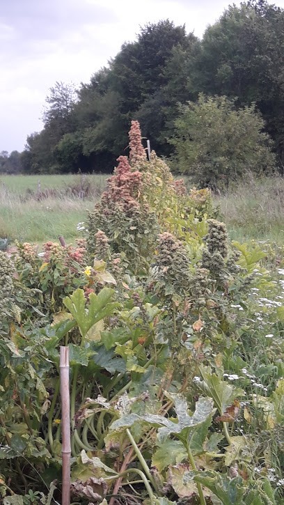 Le Ruisseau Du Couru, Ferme Bio à Beton-Bazoches