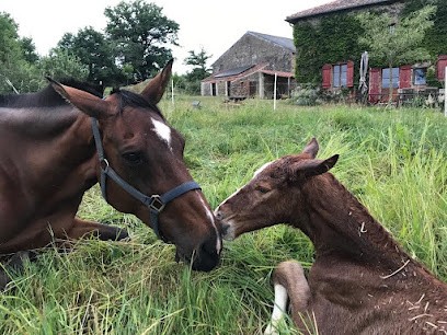 Le Domaine du Mazet - Aude De Roffignac, Ferme Bio à Saint-Ouen-sur-Gartempe