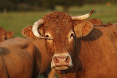 EARL de beau printemps, Ferme Bio à Petit-Réderching
