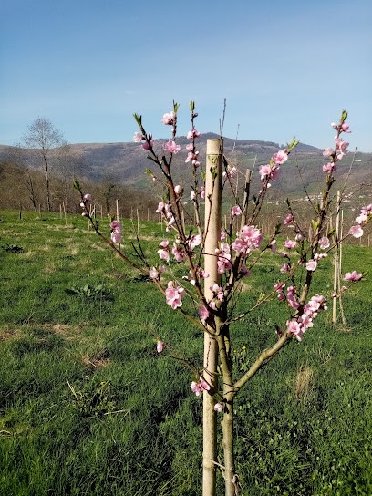 confitures Icimême, Ferme Bio à Hosta