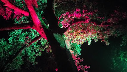 AMAP de la Baïse, Ferme Bio à Moncrabeau