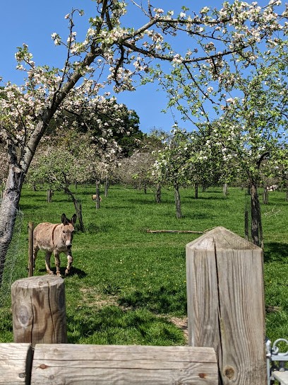 hameau de Roncheville, Ferme Bio à Bavent