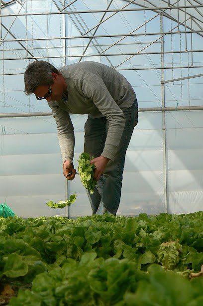 Hery Guillaume Les Vilains Cageots .fr, Ferme Bio à Bruz