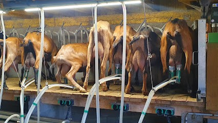 Ferme de la Biquetière, Ferme Bio à Livarot-Pays-d'Auge