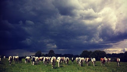 Ferme du Trèfle Blanc (GAEC), Ferme Bio à La Chapelle-sur-Erdre