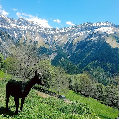Les Fromages de Montdenis · La Ferme des Brebiquettes, Ferme Bio à Saint-Julien-Mont-Denis