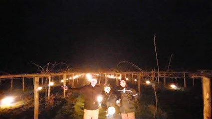 Vergers des landes, Ferme Bio à Saint-Valérien