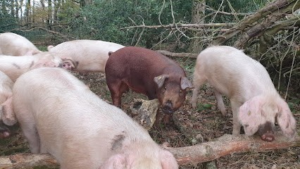 RAINGO ressources naturelles de Goûts, Ferme Bio à Epiniac
