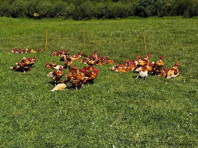 GAEC Du Grand Chêne, Ferme Bio à Plouyé