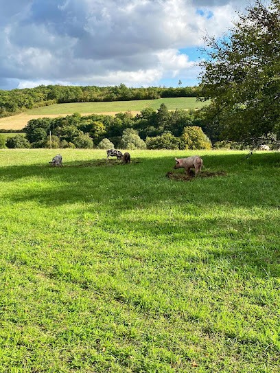 FERME DE LA MÉTAIRIE CHATELNAUD, Ferme Bio à Bierry-les-Belles-Fontaines