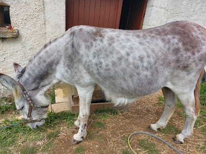 ferme au pas de l'âne, Ferme Bio à Molières