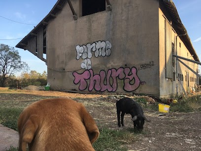 Ferme De Thury, Ferme Bio à Narbéfontaine