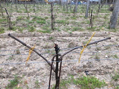 scea gauthier pierre et rodolphe, Ferme Bio à Benais