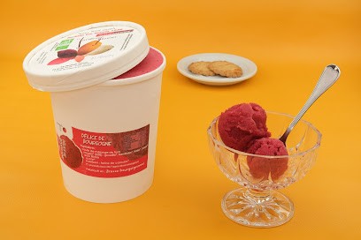 Le Jardinier Glacier - EARL Sorbiop, Ferme Bio à Saint-Étienne-en-Bresse