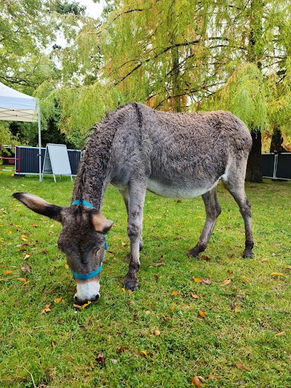 Asinerie Francilianes, Ferme Bio à Chennevières-sur-Marne