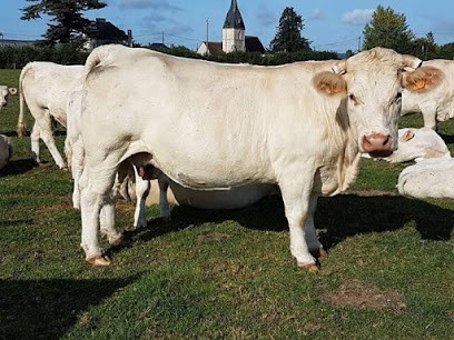 EARL Bucaille, Ferme Bio à Pont-l'Évêque