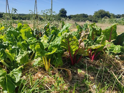 La Micro-ferme De Condac, Ferme Bio à Condac