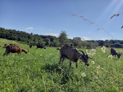 Ferme d'Uzelle, Ferme Bio à Uzelle