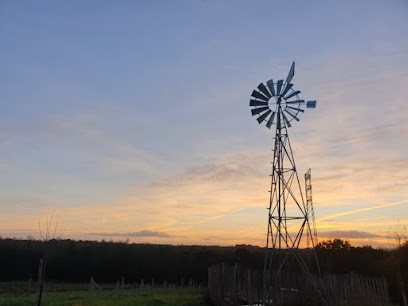 Ferme Benaise, Ferme Bio à Saint-Malo