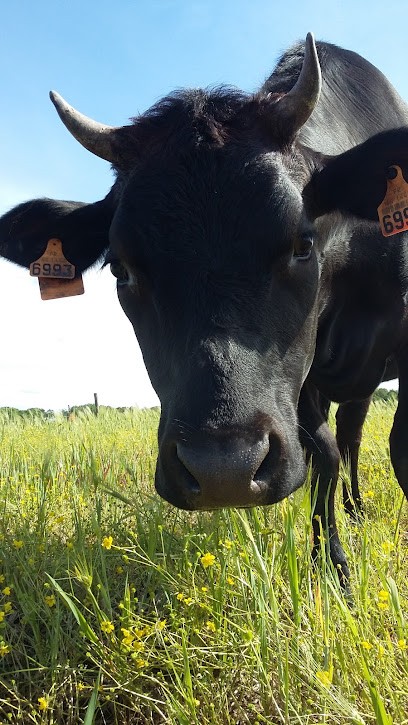 Ferme De Barraguin, Ferme Bio à Goos