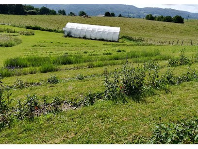 Le Jardin des Malices, Ferme Bio à Châbons